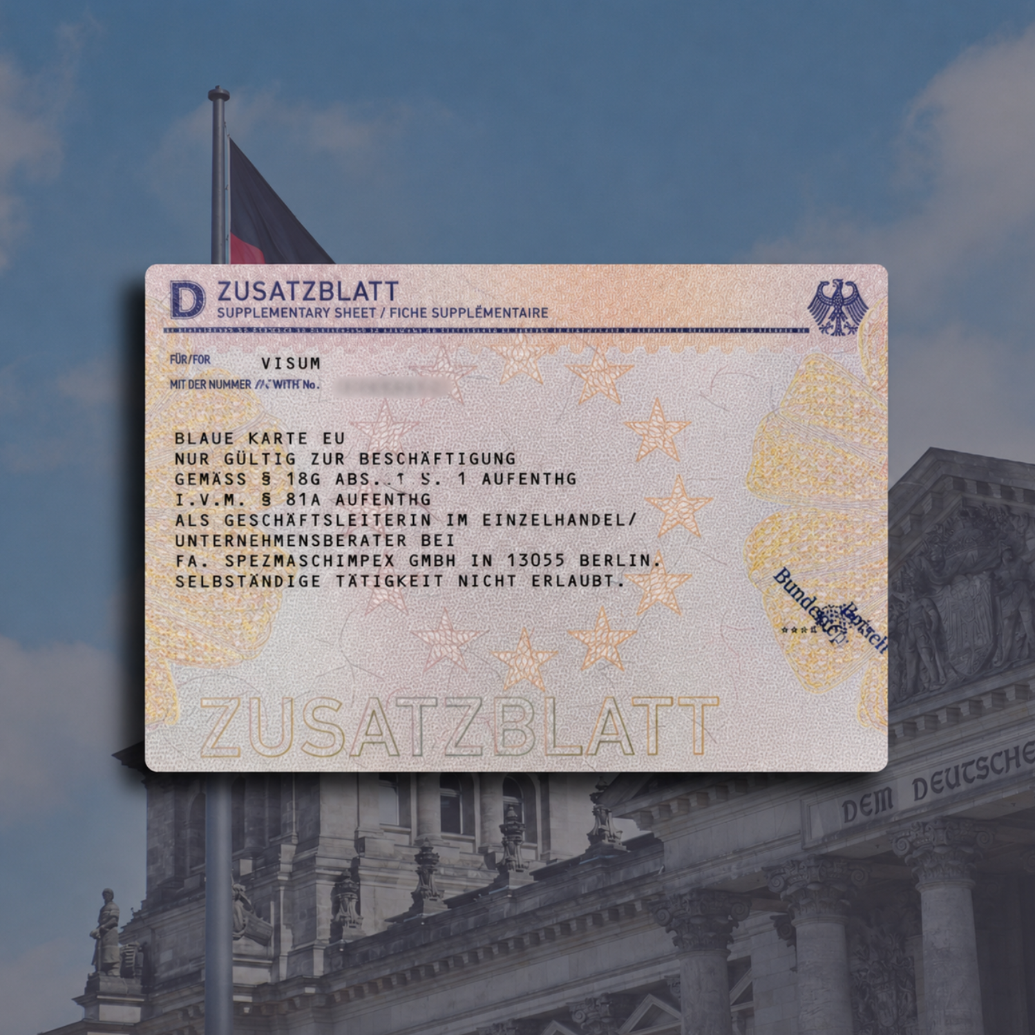 Blue Card in Germany